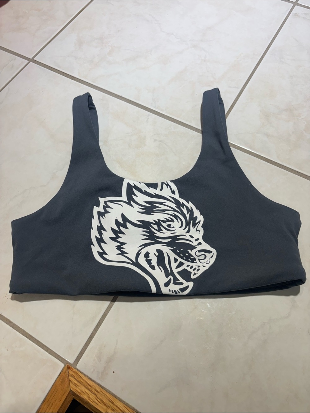 Darcsport bra